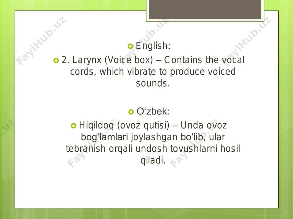 speech organs and their functions - Page 5
