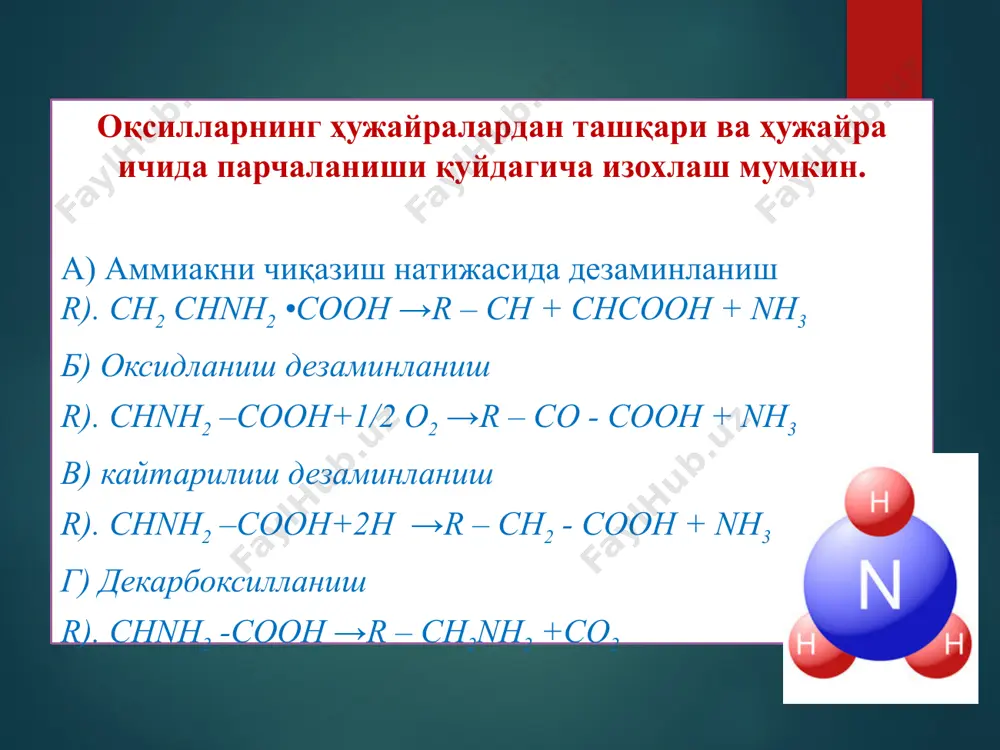 азотни табиатда алмашинишида микроорганизмларнинг роли - Page 5