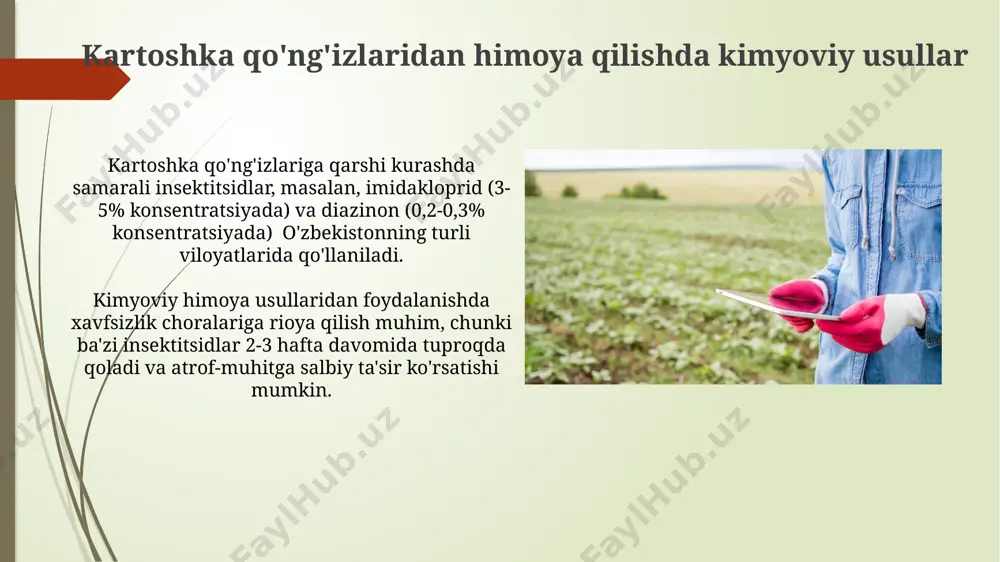 kartoshkani zang kanadan himoya qilishda kimyoviy usul - Page 5