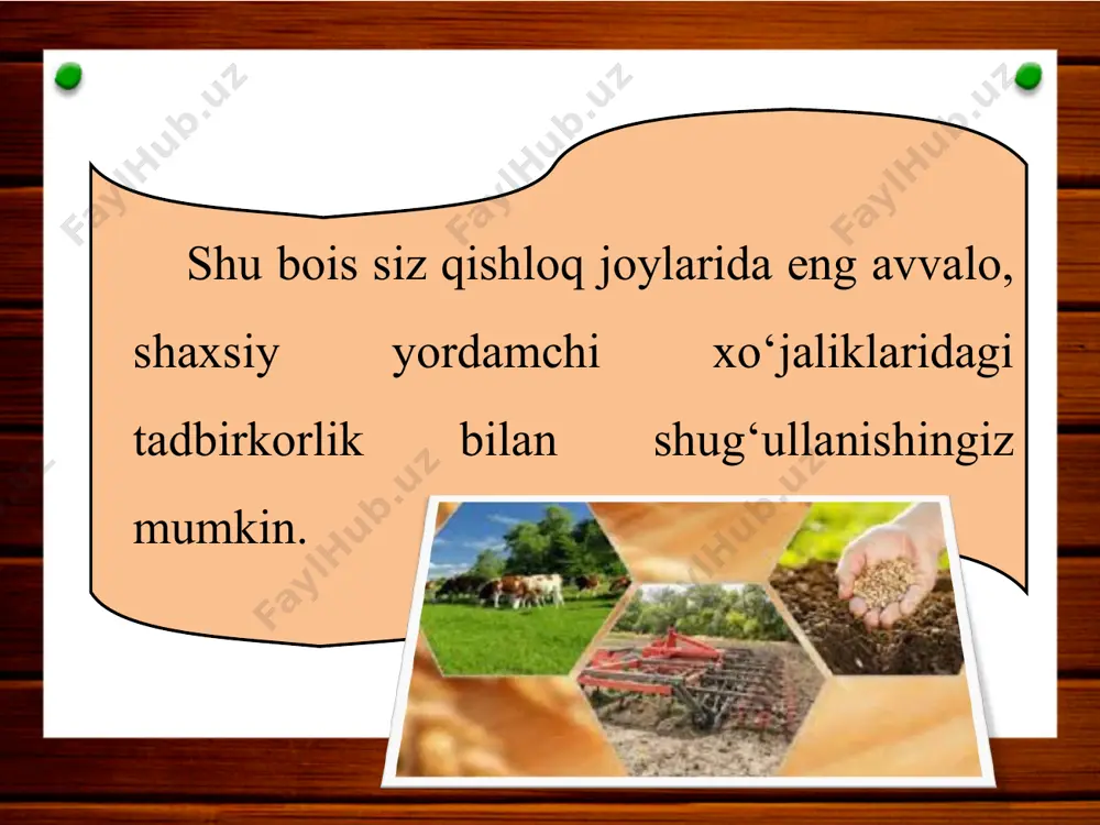 qishloq joylarda tadbirkorlik 11 - sinf - Page 4
