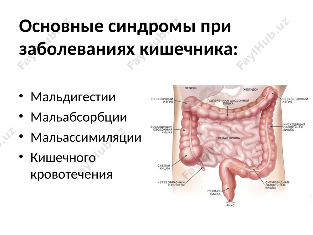 льдигестии непосредственное определение активности ферментов в слизистой оболочке тонкой кишки исследование прироста концентрации моносахаридов, дисахаридов в крови после нагрузки пищевыми дисахаридами метод изучения гликемической кривой исследование активности ферментов кишечном соке и активности ферментов в гомогенате слизистой оболочки тонкой кишки оценка секреторной функции желудка исследование кишечной мальдигестии исследование кала точки измерения рн при внутрижелудочной ph-метрии (диагностика состояния пищевода, желудка и двенадцатиперстной кишки) внутрижелудочная рн-метрия: аппаратура для кратковременной рн-метрии - «гастроскан-5» фиброгастродуоденоскопия рентгеноскопия с пассажем бария синдром нарушения (недостаточности) кишечного всасывания (мальабсорбции) мальабсорбция - («мальабсорбия» - франц. «маль» - плохой, болезнь, «абсорбция» - всасывание) – это патологическое состояние, обусловленное нарушением всасывания из тонкой кишки пищевых веществ. проявляющееся хронической диареей и приводящее к выраженному нарушению питания с метаболическими расстройствами. мальабсорбция причины мальабсорбции: первичный синдром мальабсорбции вторичный синдром мальабсорбции основные факторы развития мальабсорбции местные, кишечные симптомы диарея урчание, чувство переливания в кишечнике метеоризм ощущение тяжести, распирания в животе боли в околопупочной области плохая непереносимость …