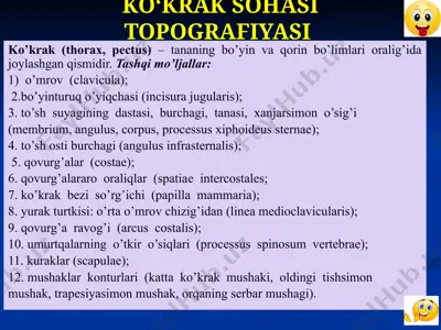 ko‘krak sohasi topografiyasi. — PPTX