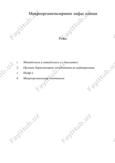 микроорганизмларнинг нафас олиши — DOC