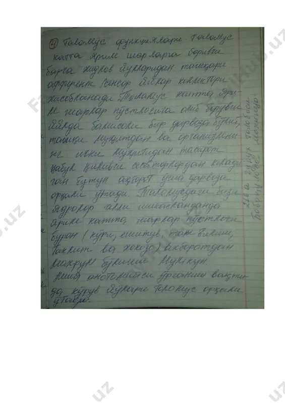xususiy tasmasa - Page 4