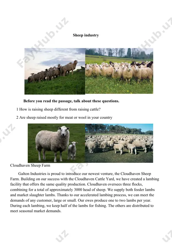 alk about prices. ex 6.with a partner, act out the roles below based on ex 5 . then, switch roles. use language such as: my farm is expanding. we’re looking to get … can you complete an order that large ? let’s talk about prices. student a: you want to purchase sheep for your farm . ask student b about: · the type of lamb you want · the number of lambs · prices student b: you are a sheep breeder. answer student a’s questions. ex 7. use the conversation from task 8 to fill out the receipt. cloudhaven sheep farm sale receipt customer information name:_________________________ farm:_________________________ order details lamb type: ______________ # of lambs:_______________ price per sum:_________________ image3.png image4.png image2.png image1.png