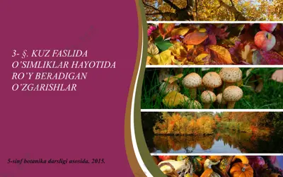kuz faslida o’simliklar hayotida ro’y beradigan o’zgarishlar. 5 - sinf — PPT
