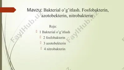 bakterial o’g’itlash. fosfobakterin, azotobekterin, nitrobakterin — PPTX
