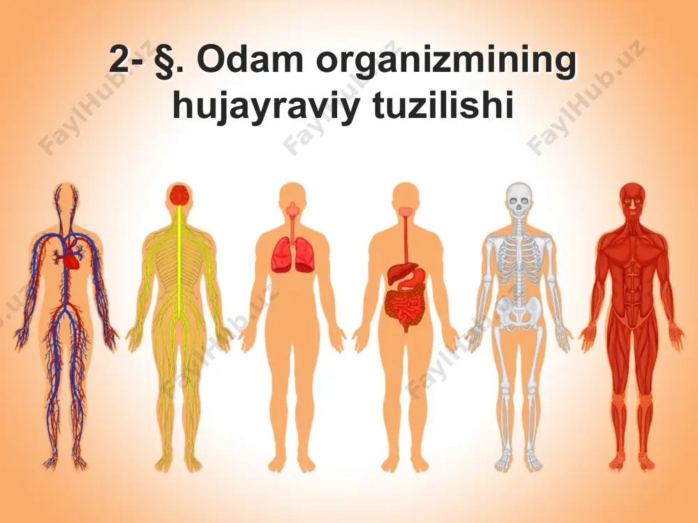 jayrada shakllanib, mikroskopda ko'rinadigan bo'lib qoladi. odam tana hujayralarida 46 tadan (23 juft), jinsiy hujayralarda 23 tadan xromosomalar bo'ladi hujayraning kimyoviy tarkibi. anorganik moddalar organik moddalar tirik orga­nizm massasining 60—70% i suvdan iborat suv bilan birga oziq moddalar hujayraga o'tadi va moddalar almashinuvi mahsulotlari hujayradan chiqarib tashlanadi suv hujayrada kechadigan kimyoviy reaksiyalar uchun muhim hisoblanadi. hujayra ichidagi va uning tashqarisidagi suyuqlikda kaliy, natriy, kalsiy va magniy tuzlari bo'ladi. organik moddalardan oqsillar yog'lar karbonsuvlar nuklein kislotalar uyga vazifa 1. darslikdagi mavzuni o`qib o`rganib, unda uchragan tayanch so`zlarni taxlil qiling. 2. mavzuga oid rasmlarni bilimlaringizni mustaxkamlash daftaringizga chizib qo`ying. image2.png image3.jpeg image4.png image5.png image6.png image7.png image8.png image9.png image10.png image11.png image12.png image13.png image1.jpeg
