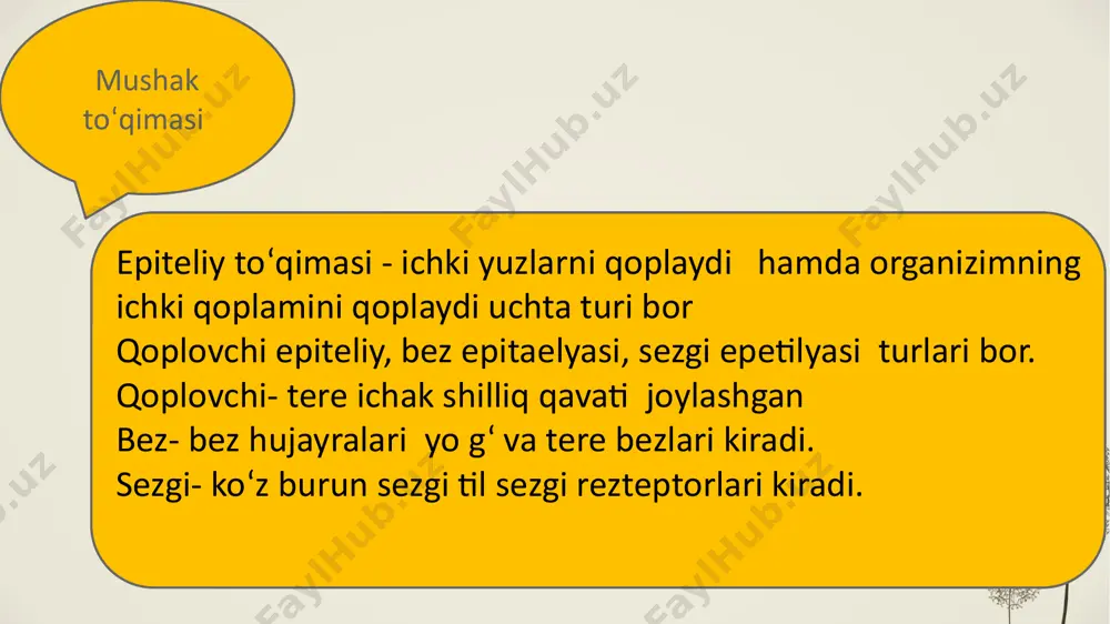 toʻqimalar haqida tushuncha - Page 5