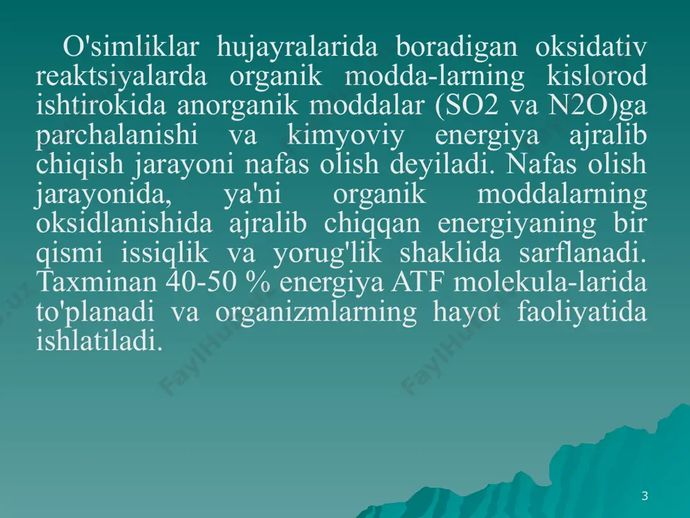 jg'ish xodisalariga ham xosdir. 10 biroq anaerob nafas olish va bijg'ish hodisalarida aerob nafas olish hodisasidagi g.krebs sikli kuzatilmaydi. umuman, nafas olish so2 va suvning, bijg'ish esa so2 va spirtning hosil bo'lishi bilan yakunlanadi. nafas olish va bijg'ish xodisalari ko'rsatib o'tilgan farqlar bilan ajralib turadi. 11 hozirgi paytda aerob nafas olish jarayoni ikki bosqichdan iboratligi tasdiqlangan. birinchi bosqichda anaerob nafas olish jarayoni sodir bo'lib, unda murakkab organik moddalar(uglevodlar) oddiy organik moddalarga(pirouzum kislotasiga) parchalanadi. ikkinchi, asosiy bosqichda aerob sharoitda piruvat kislotasi karbonat angidrid va suvga parchalanadi. bu jarayonda fermentlar faol ishtirok etadi. 12 nafas olish jarayonida ishtirok etadigan fermentlar guruhlari: 1) a2 (organik modda)ni aktivlovchi fermentlar, ular degidrogenazalar deyiladi va xilma xil bo'ladi 2) o2 ni aktivlovchi fermentlar, ular oksidazalar deb yuritilb, turli xil bo'ladi; 3) vodorod va elektronni o'tkazuvchi oraliq fermentlar; 4) yordamchi fermentlar (karboksilaza va transferazalar). 13 ko'p yillar davomida yog'lar va uglevodlar nafas olish jarayonida substrat sifatida ishtirok …