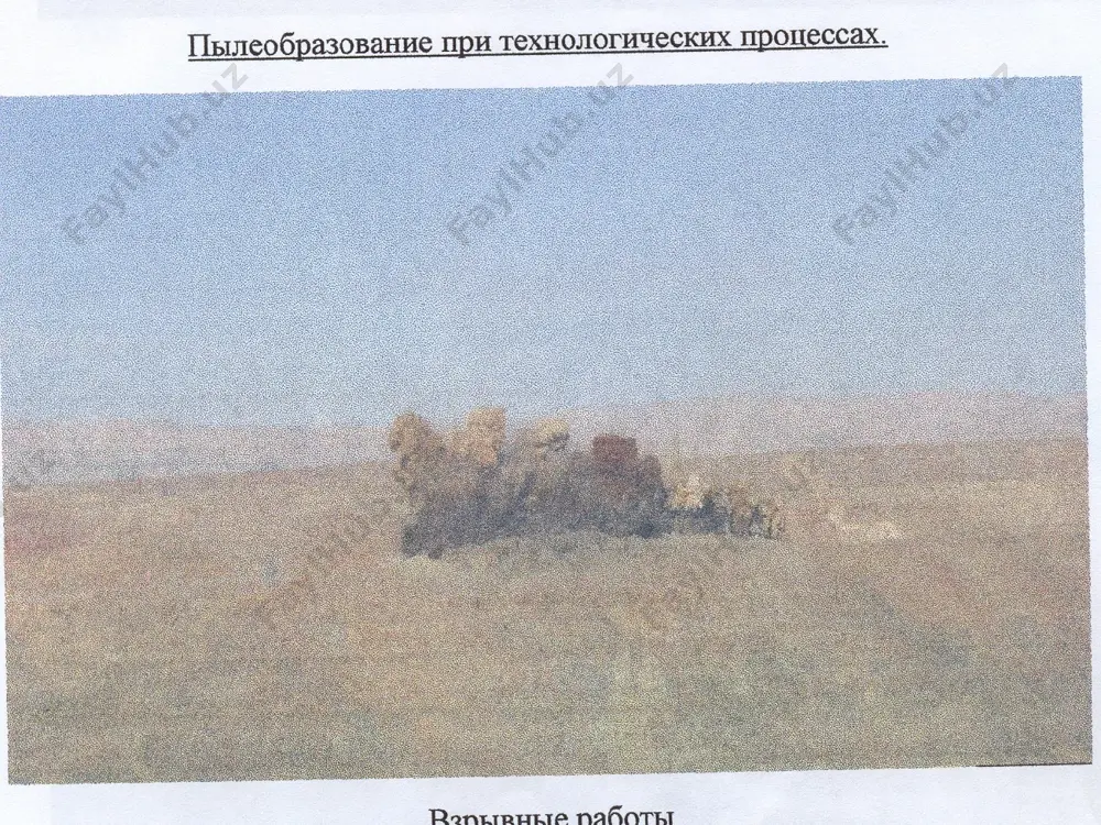 чанг таъсиридан ривожланган ўпка касалликлари - Page 4