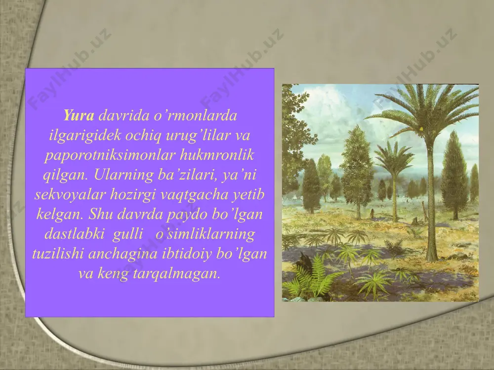 mezozoy, kaynozoy eralaridagi hayot - Page 5