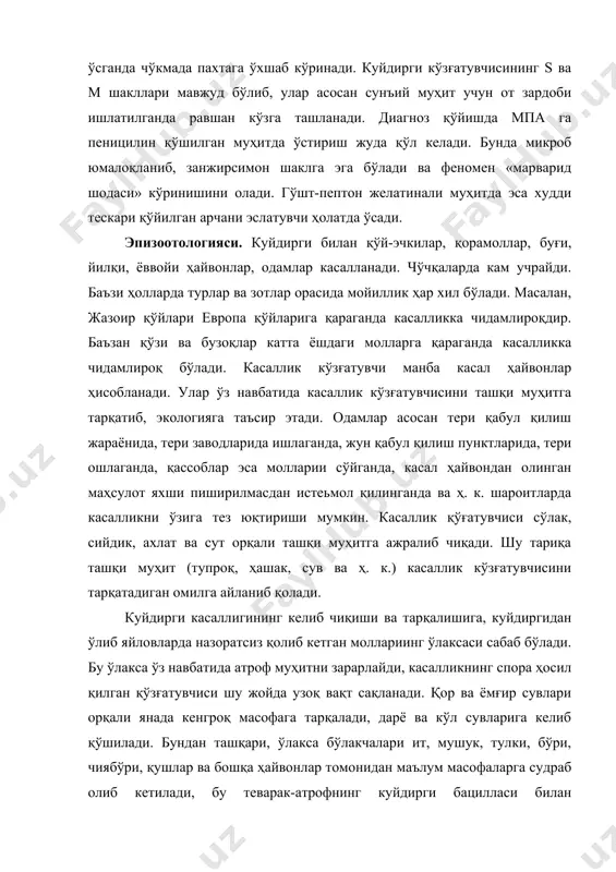 омен «марварид шодаси» кўринишини олади. гўшт-пептон желатинали муҳитда эса худди тескари қўйилган арчани эслатувчи ҳолатда ўсади. эпизоотологияси. куйдирги билан қўй-эчкилар, қорамоллар, буғи, йилқи, ёввойи ҳайвонлар, одамлар касалланади. чўчқаларда кам учрайди. баъзи ҳолларда турлар ва зотлар орасида мойиллик ҳар хил бўлади. масалан, жазоир қўйлари европа қўйларига қараганда касалликка чидамлироқдир. баъзан қўзи ва бузоқлар катта ёшдаги молларга қараганда касалликка чидамлироқ бўлади. касаллик кўзғатувчи манба касал ҳайвонлар ҳисобланади. улар ўз навбатида касаллик кўзғатувчисини ташқи муҳитга тарқатиб, экологияга таъсир этади. одамлар асосан тери қабул қилиш жараёнида, тери заводларида ишлаганда, жун қабул қилиш пунктларида, тери ошлаганда, қассоблар эса молларии сўйганда, касал ҳайвондан олинган маҳсулот яхши пиширилмасдан истеьмол қилинганда ва ҳ. к. шароитларда касалликни ўзига тез юқтириши мумкин. касаллик қўғатувчиси сўлак, сийдик, ахлат ва сут орқали ташқи муҳитга ажралиб чиқади. шу тариқа ташқи муҳит (тупроқ, ҳашак, сув ва ҳ. к.) касаллик кўзғатувчисини тарқатадиган омилга айланиб қолади. куйдирги касаллигининг келиб чиқиши ва тарқалишига, куйдиргидан ўлиб яйловларда назоратсиз …