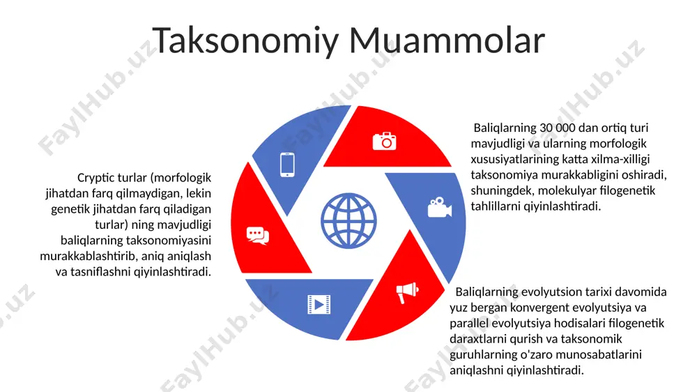 baliqlar katta sinfining zamonaviy sistematikasi - Page 5