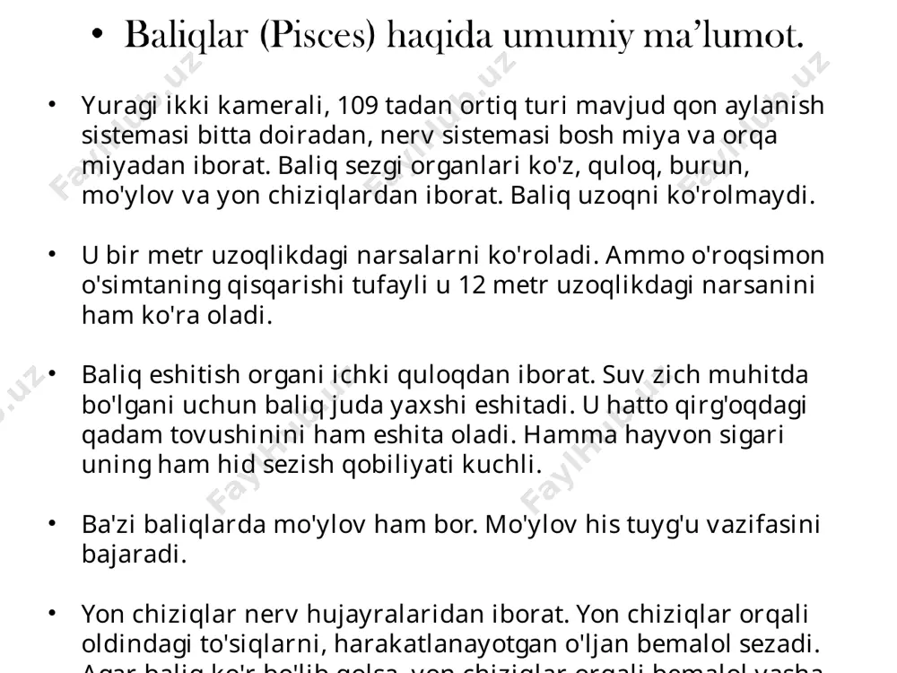 bo`lib, bu kapsulalar bosh miyani hamma tomondan himoya qilib turadi. visseral skelet jabra yoyi, til osti yoyi, va jag` yoylaridan tuzilgan. juft suzgichlari skeleti suzgich va erkin kamar suzgichlari skeletidan tashkil topgan. ko`krak suzgichlari kamari yoki yelka kamari akula gavdasini ikki yonidan va pastki tomonidan o`rab oladigan yaxlit tog`ay yoyidan iborat. yoyning o`rtasida birikish yuzasi bo`lib, unga erkin suzgich skeleti birikadi. ko`krak suzgichlari erkin skeleti 3 bo`limdan iborat. ko`krak suzgichlari kamariga tegib turgan qismi uchta tog`ay bazaliyalardan, bazaliyalarga birikkan tayoqchasimon radialiyalardan va bularga birikkan uzun elastik iplardan tashkil topgan. qorin suzgichlari kamar skeleti yoki chanoq kamari tayoqchasimon tog`aydan iborat. qorin suzgichlari erkin skeletidan faqat bitta bazaliya bo`ladi. bazaliyaning tashqi chetiga radialiyalar birikadi. bosh miyasi nisbatan katta. nerv moddasi oldingi miya yarim sharlarining tagida, yon tomonlarida va, hatto, qopqog`ida ham bo`ladi. o`rta miya yaxshi rivojlanmagan, miyachasi yirik. juft ko`zlari tipik tuzilgan, shox pardasi yassi, ko`z gavhari sharsimon bo`lib, ustki va pastki …