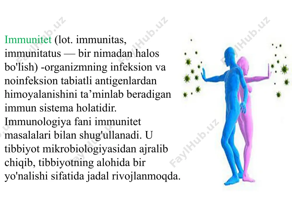 mlarni (polisaxaridlar va boshq.) antigenlariga nisbatan immun javob beradigan; s) patogenning birinchi tushishida tez faollashadi, ammo patogenni kamroq aniqlik bilan taniydi. tugʼma immunitet tugʼma immunitet аgar irsiy immunitet ushbu turning barcha vakillariga xos boʼlsa, u turga (tur maxsuslik) xos deb (masalan, inson tovuq vabosi bilan kasallanmaydi, hayvonlar gonokokklar qarshi tugʼma immunitetga ega), agar ushbu turdagi vakillar alohida kasal boʼlsa (odam-parranda grippi bilan) individual deb ataladi. tugʼma immunitet tugʼma immunitet uchun, uni oldindan faollashtirishni talab qilmaydi va uni faollashuvini, bir qator hujayralar va immun tizimi molekulalari tomonidan taʼminlanadi.tugʼma immunitetning asosiy hujayralari neytrofillar, tabiiy qotillar, monotsitlar/makrofaglar, bezofil/semiz hujayralari, eozinofillar xisoblanadi. immunitet turlari orttirilgan immunitet sunʼiy orttirilgan tabiiy orttirilgan аktiv inf.keyin passiv ona suti orqali аktiv, vaktsinatsiya orqali passiv, zardobdan soʼng antimikrob steril nosteril antitoksik nomaxsus himoya omillari organizmning infeksiyalarga qarshi tug'ma nomaxsus himoya omillariga teri va shilliq qavatlar, limfa tugunlari, organizmdagi suyuqliklar (so'lak,ko'z yoshi, me’da-ichak, nafas va siydik-tanosil yo’llarining shilliq moddalari, limfa, …