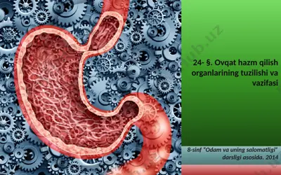 ovqat hazm qilish organlarining tuzilishi va vazifasi. 8 - sinf — PPTX