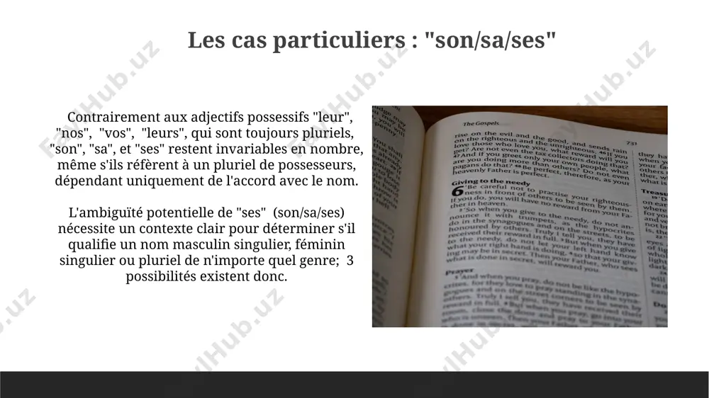le pluriel des adjectifs possessifs (mes, tes, ses; nos, vos, leurs). - Page 4