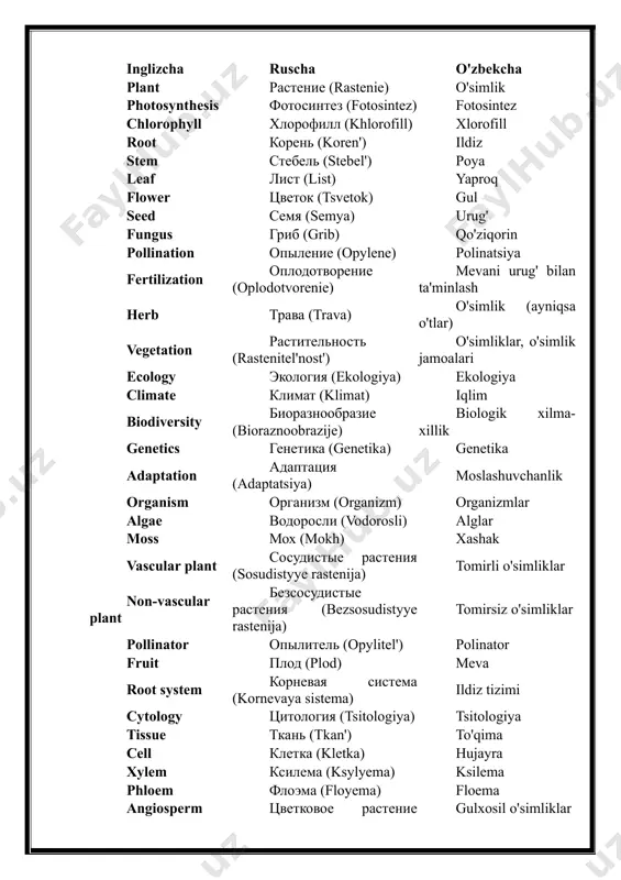 ing o'sishi reproduction размножение (razmnozheniye) ko'payish asexual reproduction бесполое размножение (bespoloye razmnozheniye) jinsiy ko'payish emas sexual reproduction половое размножение (polovoye razmnozheniye) jinsiy ko'payish genetic variation генетическое разнообразие (geneticheskoe raznoobrazije) genetik xilma-xillik species вид (vid) tur genus род (rod) jins family семейство (semeystvo) oila order отряд (otryad) tartib class класс (klass) sinf kingdom царство (tsarstvo) qirollik phylum тип (tip) tip taxonomy таксономия (taksonomiya) taksonomiya herbivore травоядное (travyodnoye) o'txo'r carnivore плотоядное (plotoyadnoye) hovliyo'r omnivore всеядное (vseyadnoye) hamxaror trophic level трофический уровень (troficheskiy uroven') trofik daraja ecosystem экосистема (ekosistema) ekosistema biomass биомасса (biomassa) biomassa carbon cycle углеродный цикл (uglerodnyy tsikl) uglerod tsikli