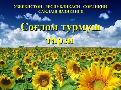sog'liqnisaqlash turmush tarzi — PPT
