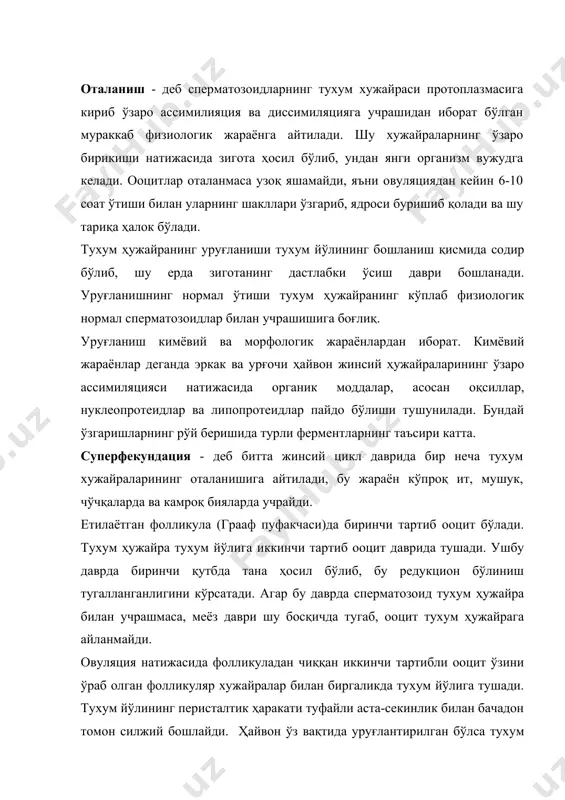 туфайли аста-секинлик билан бачадон томон силжий бошлайди. ҳайвон ўз вақтида уруғлантирилган бўлса тухум йўлида ооцит сперматозоидлар билан учрашади ва оталанаш содир бўлади. оталаниш жараёни асосан уч босқичида кечади: биринчи босқич - нурсимон тожни ўраб олган фиолликуляр хужайралар сперматозоидлар томонидан ажратилган гиалуронидаза ферментининг таъсирида емирилади. бу жараёнда кўпгина сперматозоидлар иштирок этади. иккинчи босқичда - 60-90 тага яқин сперматозоидлар тухум ҳужайраларнинг тиниқ пардаси ичига киради. шундан сўнг, 23-36 тагача сперма тиниқ пардадан ўтиб, сариқлик танаси атрофидаги бўшлиққа тушади. учинчи босқич - ҳақиқий оталаниш даври бўлиб, бу вақтда сариқлик олди бўшлиғидан битта сперматозоид сариғлик парда ичига ва кейин тухум хужайрасининг цитоплазмасига думи билан бирга ўтади ва бир неча вақтдан сўнг думи ажралади. тўртинчи босқичда сперматозоид ўзаги тухум ҳужайра цитоплазмасини ассимиляция қилиши натижасида тезда катталашиб, тухум хужайрасининг ядроси катталигига тенглашади. кейинчалик, тухум ва сперматозоид ядролари бир-бирига яқинлашиб, ўзаро ассимиляцияга учрайди. натижада ривожланиш ва такомиллашишга лаёқатли бўлган зигота пайдо бўлади. сперманинг танаси билан думи, шунингдек, …
