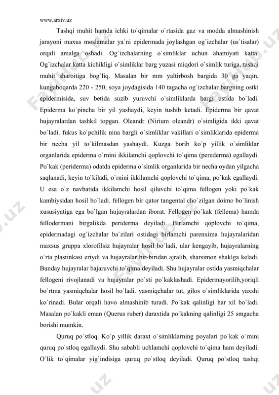 smiqchalar hosil bo`ladi. yasmiqchalar tut, gilos o`simliklarida yaxshi ko`rinadi. bular orqali havo almashinib turadi. po`kak qalinligi har xil bo`ladi. masalan po`kakli eman (querus ruber) daraxtida po`kakning qalinligi 25 smgacha borishi mumkin. quruq po`stloq. ko`p yillik daraxt o`simliklarning poyalari po`kak o`rnini quruq po`stloq egallaydi. shu sababli uchlamchi qoplovchi to`qima ham deyiladi. o`lik to`qimalar yig`indisiga quruq po`stloq deyiladi. quruq po`stloq tashqi muhitning noqulay ta`sirlaridan o`simlikni asraydi. o`rmon zonasida o`suvchi daraxtlarning quruq po`stlog`ida lishayniklar, zamburug`lar, moxlar hayot kechiradi. vaqt o`tishi bilan ba`zi daraxtlarda (tok, chinorda) to`kilib ketadi. asosiy to`qima. asosiy to`qima deb hosil qiluvchi to`qimadan vujudga kelib, dumaloq parenxima hujayralaridan iborat bo`lgan to`qimalarga aytiladi. bu hujayralar bir biridan hujayralararo bo`shliq bilan ajralib turadi. asosiy to`qima vazifasi o`zida oziqa to`plash, o`simliklarni oziqlantirishdan iborat. bajaradigan vazifasiga ko`ra, asosiy to`qimalar bir necha xil bo`ladi. 1. so`ruvchi parenxima. ildizning so`rish zonasida bo`lib, ildiz tuklari hamda birlamchi po`stloqning yosh parenxima hujayralaridan iborat. suv va unda erigan mineral moddalarni …