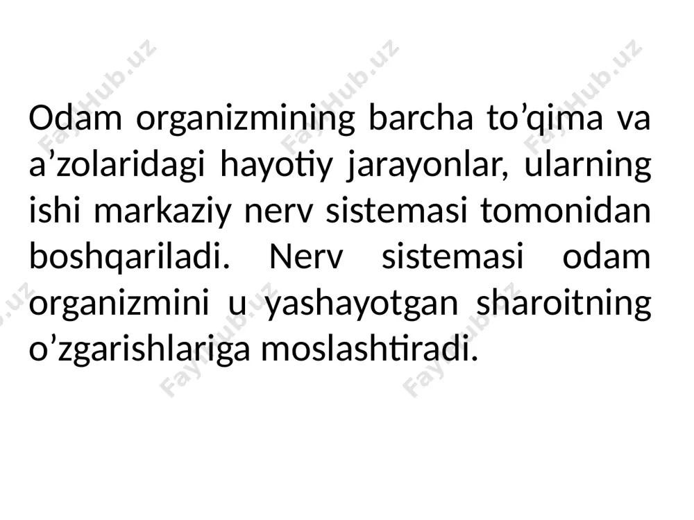 nerv sistemasining ahamiyati va uning gigiyenasi - Page 4