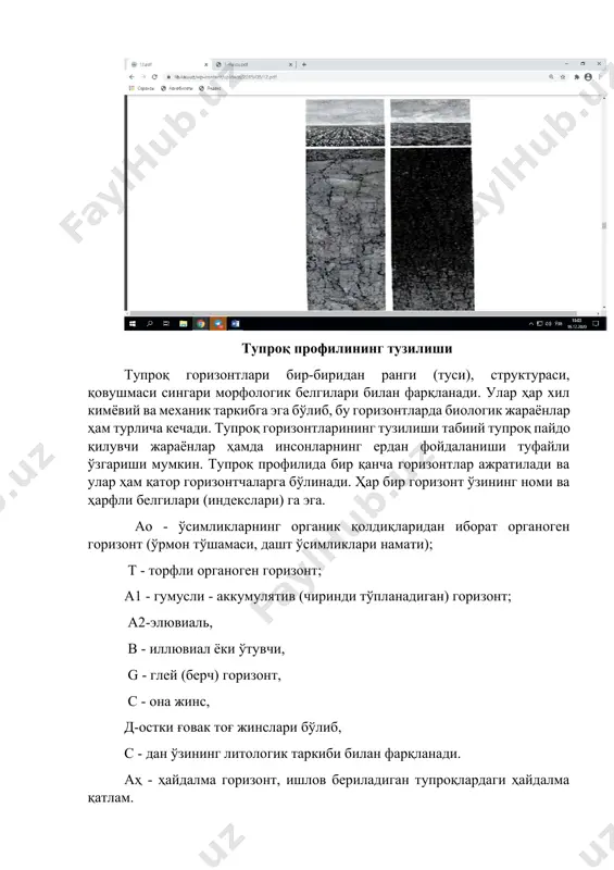 эга. ао - ўсимликларнинг органик қолдиқларидан иборат органоген горизонт (ўрмон тўшамаси, дашт ўсимликлари намати); т - торфли органоген горизонт; а1 - гумусли - аккумулятив (чиринди тўпланадиган) горизонт; а2-элювиаль, в - иллювиал ёки ўтувчи, g - глей (берч) горизонт, с - она жинс, д-остки ғовак тоғ жинслари бўлиб, с - дан ўзининг литологик таркиби билан фарқланади. аҳ - ҳайдалма горизонт, ишлов бериладиган тупроқлардаги ҳайдалма қатлам. қўриқ ерларда ач горизонт - чимли қатлам ажратилади. ао ва т органоген горизонтлари тупроқ минерал қисмининг юзасида тўшама сифатида пайдо бўлади. органик моддалар тўпланадиган (аккумулятив) горизонт (а) тупроқ профилининг юқори қисмида яшил ўсимликларнинг қуриган биомассаси тўпланишидан ҳосил бўлади. бу горизонт ўзининг ифодаланиши, характерига кўра - гумусли - аккумулятив горизонт, тупроқнинг юқори минерал қатламида ҳосил бўлиб, уларда минерал моддаларнинг парчаланиши ва ишқорсизланиши ифодаланмаган; а1 - гумусли-элювиал, тупроқ профилининг юқори горизонти ҳисобланиб, унда морфологик ва таркиби жиҳатдан минерал моддаларнинг парчаланиши ва ишқорсизланиши ифодаланган (ўрмон, ўрмон-дашт, дашт зоналарида яхши …