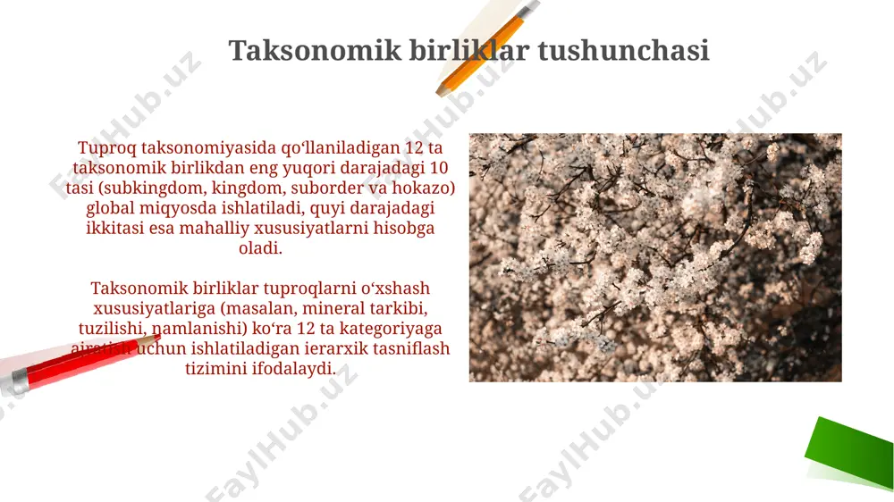 di. tuproq organik moddalarining miqdori, odatda 1% dan 10% gacha, uning unumdorligini va tuproq tuzilishini aniqlaydi, bu esa tuproq tasnifida muhim rol o'ynaydi. tuproqning fizik xossalari va tasnifi tuproqning nam sig'imi, uning suvni ushlab turish qobiliyatini ifodalaydi va 10 dan 60% gacha o'zgarishi mumkin, bu esa tuproqning donadorligi va tuzilishi bilan belgilanadi. tuproqning havo o'tkazuvchanligi, o'simliklarning ildiz tizimining kislorod bilan ta'minlanishi uchun muhim bo'lib, 1-10% oralig'ida o'zgarib, tuproqning tuzilishiga va namlik darajasiga bog'liq. amerika qo'shma shtatlari tuproq tasnifi tizimi (usda) usda tizimi ierarxik bo'lib, 6 ta taxonomik darajani o'z ichiga oladi: order, suborder, great group, subgroup, family va series, har bir daraja tuproqning o'ziga xos xususiyatlarini aniqroq belgilaydi. aqshning tuproq tasnifi tizimi 12 ta asosiy tuproq guruhlarini, masalan, alfisol, ultisol va inseptisol kabi, o'z ichiga oladi, har biri o'ziga xos xususiyatlarga ega. tuproqning biologik xossalari va tasnifi tuproq tasnifi tizimida, biologik faollik ko'rsatkichlari (masalan, respirasiya darajasi, ferment faolligi) tuproqning unumdorligi …