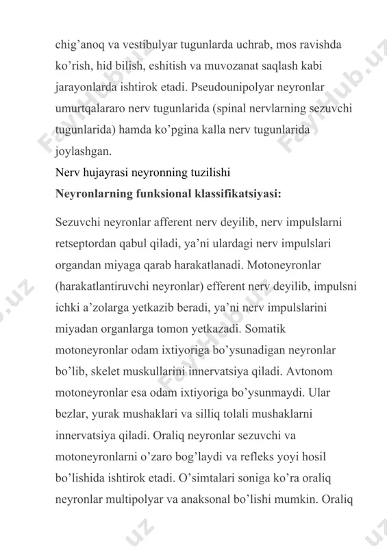 alari) va neyrofibrillalarning borligini ko’rish mumkin. dentritlar ta’sirotlarni qabul qiluvchi va nerv impulsini hujayra tanasiga o’tkazuvchi o’simtalar dendritlar deb nomlanadi. dentrit atamasini ilk marotaba fanga 1889-yilda shveysariyalik gistolog vilgelm gis tomonidan kiritilgan. dendrit bo’yicha impuls neyron tanasi tomon intiladi. ular unchalik uzun emas va neyron tanasi yaqinida daraxtga o’xshab shoxlanib tugallanadi. dentritlar aksonlardan farqli ravishda o’zida juda ko’p ribosomalarni tutadi. dendritlar miqdori turli neyronlarda turlichadir. ko’pchilik dendritlar maxsus tuzilishga ega bo’lgan sezuvchi nerv oxirlari (retseptorlar) bilan tugaydi. boshqa dendritlar esa qo’shni neyronlarning aksonlari bilan sinaps hosil qiladi. masalan, miyachaning po’stloq qismidagi purkine hujayralari dendritlarida 200000 ga yaqin akson terminallari aniqlangan. dendritlar butun bo’yi bo’yicha bir xil uzunlikka ega bo’lmay, ba’zi joylarda bo’rtib chiqqan do’mboqchalar hosil qiladi. purkine hujayrasidagi dentritlarning shoxlanishi akson bitta neyronda asosan, bitta akson bo’ladi. odatda, akson juda uzun bo’ladi. aksonlar dendritlardan farq qilib, doimiy diametrga ega bo’ladi. shuningdek, aksonlar bor bo’yiga do’mboqchalar hosil qilmaydi. aksonlarning protoplazmasi aksoplazma …