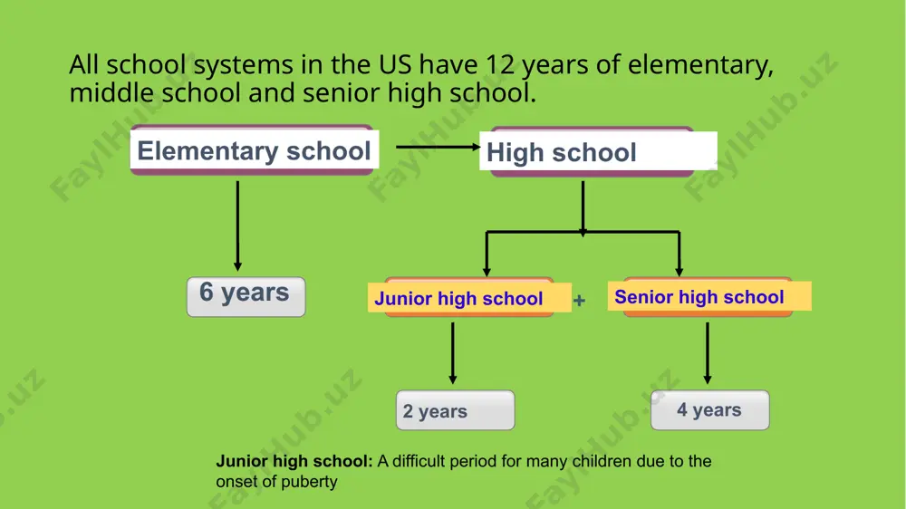 education in the usa - Page 4