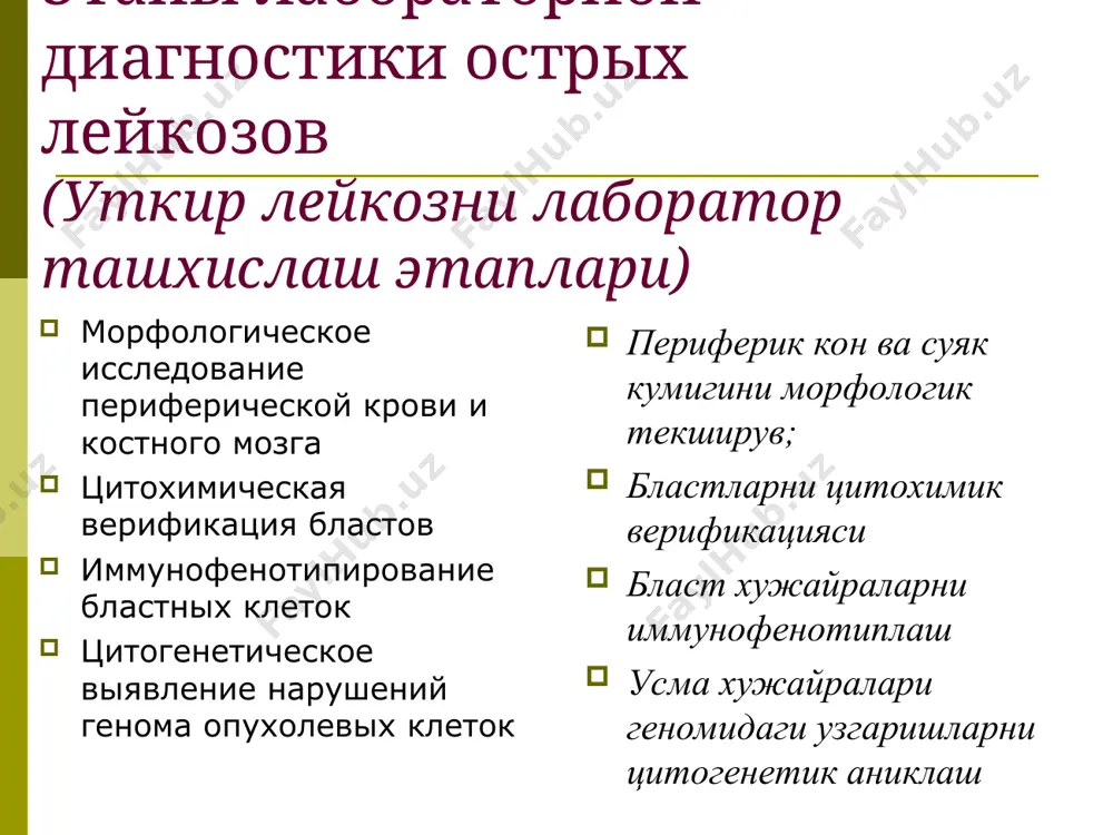 лди. периферик кон тахлили: wbc – 194,0x109/л, rbc – 3,13x1012/л, hb – 102 г/л, mcv – 91,1фл, mch – 32,0пг, mchc 358 г/л, plt – 150,0x109/л. лейкоцитар формула: бластлар –94%, таекча ядроли нейтрофиллар –1%, сегмент ядроли нейтрофиллар –2%, лимфоцитлар –3% бласт хужайраларнинг цитокимеси: мпо - манфий, pas - мусбат, грануляр шаклда 20% миелограмма: количество миелокариоцитов увеличено, бласты – 41,5%, промиелоциты – 2,0%, миелоциты – 4,0%, метамиелоциты – 3,0%, палочкоядерные нейтрофилы – 6,0%, сегментоядерные нейтрофилы – 11,0%, лимфоциты – 10,0%, моноциты – 2,0%, базофильные нормобласты - 3,0%, полихроматофильные нормобласты - 13,5%, оксифильные нормобласты – 4,0% цитохимия бластных клеток: мпо - отрицательная, pas - отрицательная миелограмма: миелокариоцитлар микдори ошган, бластлар – 41,5%, промиелоцитлар – 2,0%, миелоцитлар – 4,0%, метамиелоцитлар – 3,0%, таекча ядроли нейтрофиллар – 6,0%, сегмент ядроли нейтрофиллар – 11,0%, лимфоцитлар – 10,0%, моноцитлар – 2,0%, базофил нормобластлар - 3,0%, полихроматофил нормобластлар - 13,5%, оксифил нормобластлар – 4,0% бласт хужайралар цитокимеси: …