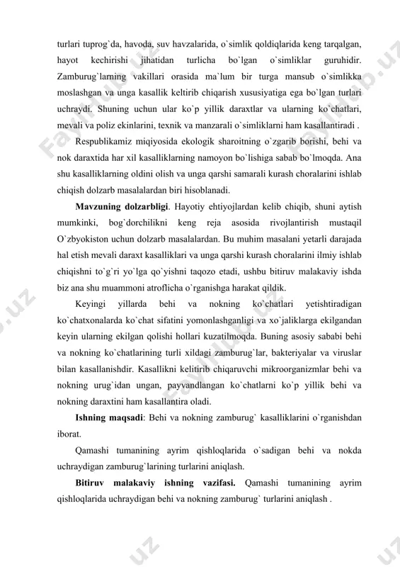 omonlashganligi va xo`jaliklarga ekilgandan keyin ularning ekilgan qolishi hollari kuzatilmoqda. buning asosiy sababi behi va nokning ko`chatlarining turli xildagi zamburug`lar, bakteriyalar va viruslar bilan kasallanishdir. kasallikni kelitirib chiqaruvchi mikroorganizmlar behi va nokning urug`idan ungan, payvandlangan ko`chatlarni ko`p yillik behi va nokning daraxtini ham kasallantira oladi. ishning maqsadi: behi va nokning zamburug` kasalliklarini o`rganishdan iborat. qamashi tumanining ayrim qishloqlarida o`sadigan behi va nokda uchraydigan zamburug`larining turlarini aniqlash. bitiruv malakaviy ishning vazifasi. qamashi tumanining ayrim qishloqlarida uchraydigan behi va nokning zamburug` turlarini aniqlash . ishning amaliy ahamiyati: behi va nokda keltirib chiqaradigan kasalliklardan himoya qilishda ayrim yangi paydo bo`layotgan xavfli kasalliklarning oldini olishda muhim ahamiyatga ega. ishning yangiligi. qamashi tumanining to`qboy jamoa xo`jaligi va berdali qishlog`i o`sadigan behi va nokda quyidagi zamburug` kasalliklari uchraydi. shulardan behida m. cydonia monilioz yoki meva chirishi, podosphare oxycantae un-shudring, nokdagi sphaeropsis malorum qora rak, kalmaraz kasalligi, monilia jructigena monilioz, gymnosporangium sabinae zang, capnodium barglarining qorayish kabi …