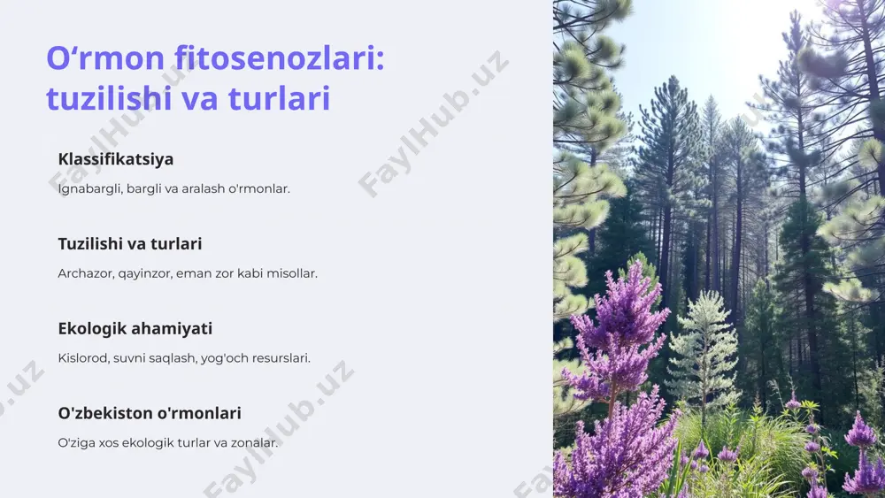 fitosenozlarning tuzilishi va turlar tarkibi - Page 4