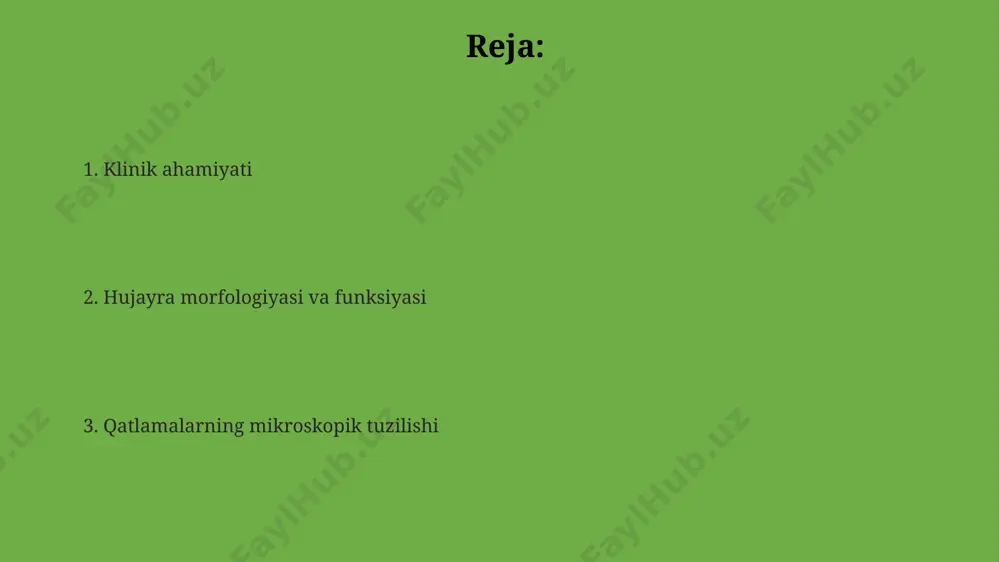 eliyning yuzasi 10-15 mikrometr qalinlikda bo'lib, uning nafas olish yo'llarining yuqori qismlarida ifloslantiruvchi moddalardan himoya qilishdagi roli katta ahamiyatga ega. bazal qatlamning xususiyatlari bazal qatlam hujayralari 1-2 qatordan iborat bo'lib, yuqori siljish tezligi bilan ajralib turadi va mitoz faolligi yuqori bo'lgan hujayralarni o'z ichiga oladi, masalan, teri epiteliysi bazal qatlamida. bazal qatlam hujayralari, taxminan 10-15 mikrometr balandlikda, yadrosi katta va yumaloq shaklga ega bo'lib, sitoplazmada ko'p miqdorda ribosomalarni o'z ichiga oladi, masalan, og'iz bo'shlig'i epiteliysida. bazal membranaga yaqin joylashgan bazal qatlam hujayralari hemidesmosomalar orqali bog'lanib, taxminan 3-5 nm qalinlikdagi bazal membrana bilan bog'langan va bu bog'lanish to'qimalarning mustahkamligini ta'minlaydi, masalan, qizilo'ngachda. klinik ahamiyati o'zbekistondagi 5 ta yirik klinikada o'tkazilgan tadqiqotlar shuni ko'rsatdiki, surunkali yallig'lanish jarayonlari ko'pincha 4-5 qatlamli stratifikatsiyalangan keratinlashmagan epiteliyning displaziyasi bilan bog'liq. stratifikatsiyalangan keratinlashmagan yassi epiteliyning shikastlanishi, masalan, og'iz bo'shlig'ida, 2-3 kun ichida 100% ga yaqin regeneratsiyaga ega bo'lib, bu og'iz shilliq qavatining tez tiklanishini ko'rsatadi. agar stratifikatsiyalangan …