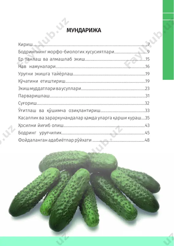 кўмаклашади. бундан ташқари ундан косметикада ҳам кенг фойдаланилади. илдизи. бодрингнинг асосий илдизи ўқ илдиз бўлиб, тупроқнинг 20-25 см ли ҳайдалма қатламига таралиб ўсади. ўқ илдиз ва айрим попук илдизлари ҳатто 1 метрга қадар ўсиши мумкин. бодринг ўсимлиги тупроқ намлигига талабчан бўлганлиги сабабли унинг илдизлари ернинг юзароқ қисмида ўсади. илдизларни 60-70 фоизи тупроқнинг 10-20 см чуқурлигида жойлашади. илдизларнинг ён томонга тарқалиш радиуси 1,5 метрга яқин. ўсимликнинг асосий ва ён поялари 10 100 китоб тўплами нам тупроққа тегса, бўғимларидан қўшимча илдизлар чиқариш хусусиятига эга. пояси. бодринг пояси яшил рангли, шохланувчан, қиррали, тукланган, 4-5 та барг пайдо қилгач, ерга ётиб, ёйилиб палак отадиган ёки атрофдаги нарсаларга (жингалаклари билан) чирмашиб юқорига ўсадиган лианадир. асосий пояси узунлиги навига ва ўсаётган шароитига қараб 50-100 см дан 2 м гача етади, баъзан бундан ҳам ошиб кетади. поясида қаттиқ туклар ва тиканлар мавжуд. асосий поядаги барг қўлтиқларидан чиқадиган ён шохдан иккинчи тартиб поялар ўсиб чиқади. бир неча (7-10 …