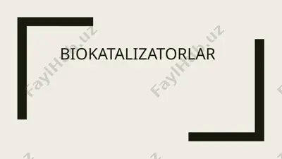 biokatalizatorlar — PPTX