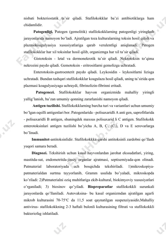 lariga ekib-kultural, biokimyoviy xususiyatlari o’rganiladi; 3) biosinov qo’yiladi. biopreparatlar stafilokokkli surunkali jarayonlarda qo’llaniladi. autovaksina- bu kasal organizmdan ajratilgan agarli mikrob kulturasini 70-75oc da 11,5 soat qaynatilgan suspenziyasidir.mahalliy antivirus- stafilokokkning 2-3 haftali bulonli kulturasining filtrati va stafilokokkli bakteriofag ishlatiladi. patogen streptokokklarning xususiyatlari va diagnostikasi. hozirgi vaqtda streptokokklarning 21 ta turi bor. streptokokklarning quyidagi patogen turlari ko’p uchraydi. str.agalactiae (str.mastitidis), str.equi , str. pneumoniae, saprofitlaridan esa sut kislotali stereptokokklar- str. lactis, str. crimoris, str. salivaris va h.k.lar uchraydi. streptokklarning presipitasiya reaksiyasida aniqlanadigan polisaharidli maxsus antigeni bo’yicha 17 ta guruhi bor.hayvonlar va odamlar patologiya sida birinchi beshtasi muhum ahamiyatga ega bo’lib katta harflar bilan a,b,s,d,e belgilanadi. streptokokklar sigirlarda yuqumli mastit,otlarda soqov,yosh hayvonlarda pnemokokkli pnevmoniya, cho’chqa va parrandalarda septik kasallik-streptokokkozni qo’zg’atadi. ba’zan streptokokklar virusli kasalliklarni og’irlashtiradi. yuqumli mastit qo‟zg‟atuvchisi – str. agalactiae. morfologiyasi. o’tkir mastitda sutdan tayyorlangan surtmalarda ko’proq qisqa zanjirlar, surunkalida esa uzun-uzun zanjirdan iborat kokklar ko’rinadi. grammusbat, harakatsiz, spora va kapsula hosil …