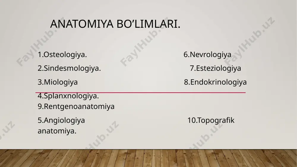 anatomik sathlar.umumiy osteologiya.umurtqalar va gavda skeleti anatomiyasi - Page 3