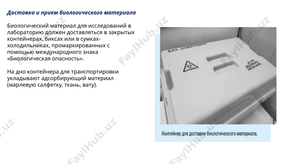 правила безопасной работы в клинике-диагностической лаборатории - Page 5