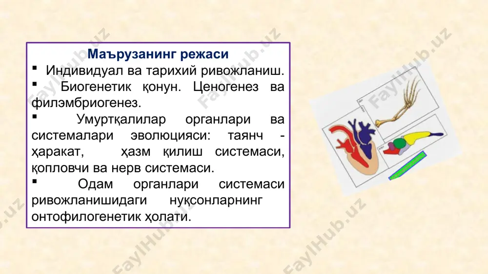 я рептилия қуш сутэмизувчи чувалчангсимон ўсимта функцияларнинг алмашиниши масалан, илонларда сўлак безлари заҳар безларига айланиши натижасида ҳазм функцияси ҳимоя функцияси билан алмашинади. 7. аъзолар ва функциялар алмашиниши - субституция эволюцияда бир аъзо йўқолиб, унинг функциясини бошқа аъзо бажариши. масалан, хордалар тоғайга, кейин суякли умуртқаларга айланади, бирламчи буйрак, унинг ўрнига иккиламчи, кейин учламчи буйраклар ҳосил бўлади. 8. гетеробатмия аъзолар эволюциясининг ҳар хил жадалликда бориши. масалан, ҳаракат, ҳазм аъзолари, ички секреция безлари ҳар хил даражада такомиллашган бўлади (морфологик регресс). компенсация яхши ривожланган аъзолар суст ривожланган аъзолар функцияларини компенсациялайди (ўрнини тўлдиради). масалан, тишлар такомиллашуви орқада қолиши ошқозон функцияларини кучайиши орқали компенсацияланади. корреляция ривожланаётган аъзолар орасида ўзаро функционал ва структуравий боғланишларнинг мавжудлиги. бир аъзонинг ўзгариши бошқа аъзонинг ўзгаришига сабаб бўлиши мумкин. онтогенетик ва филогенетик корреляциялар тафовут этилади. онтогенетик корреляциялар: эргонтик корреляциялар ўсаётган ва катталар организмида онтогенезнинг кейинги босқичларида намоён бўлиб, шаклланиб бўлган аъзолар орасида ўзаро функционал боғланишлар. масалан, нерв системаси яхши ривожланиши периферик аъзоларга …