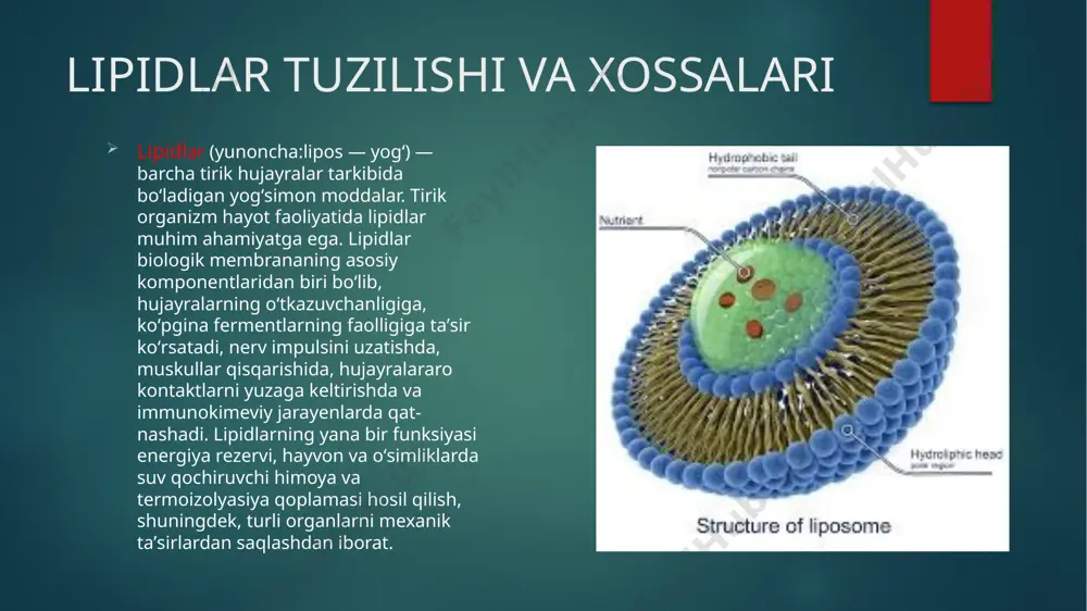 lipidlar bo’lib 3ta yog’ kislata va 3 atomli spirt glitserinning birikishidan hosil bo’ladi. hayvon yog’lari o’simlik moylari fosfolipidlar glikolipidlar mumlar lipoprateinlar neytral yog’lar steroidlar lipidlarni sinflanishi mumlar fosfolipidlar—hujayraning membranali tuzilmzlarini hosil qiladi. glikolipidlar glikolipidlar -- lipidlarning uglevodlar bilan hosil qilgan birikmasi fosfolipidlar mumlar– yog’ kislatalar va ko’p atomli spirtlarning birikishidan hosil bo’ladi. teri hayvonlarning junlari qushlarning patlari o’simliklarning barg,poya,mevalarini suv tasiridan ,qurib qolishdan himoya qiladi steroidlar– steroidlarga mansub xolesterin hujayra membranasining muhim tarkibiy qismidir. buyrak usti bezida, jinsiy bezlarda xolesterindan steroid gormonlar sintezlanadi. ortiqcha xolesterin qon tomirlarda to’planib,tomirlarni toraytiradi,ateroskleroz kasalligiga sabab bo’ladi. a, d, e, k vitaminlari ham yog’simon moddalarga kiradi. funksiyalari e’tiboringiz uchun rahmat image6.png image7.png image8.png image2.png image3.png image4.png image5.png /docprops/thumbnail.jpeg