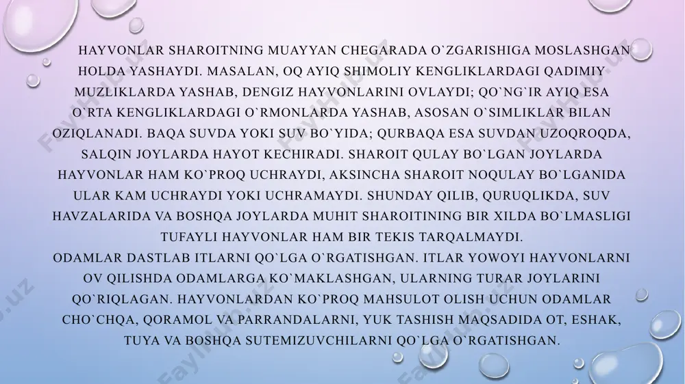 a'sirida ro'y beradi. tabiiy geografik omillar (vulkanlarning otilishi, suv va muz bosishi, bo'ron,jala, sel bo'lishi, territoriyaning qattiq sovib yoki isib ketishi, kuchli yog'in va qo'g'oqchilikning bo'lishi va b.q.) ta'sirida hayvonlarning o'lishi va areallari qisqarishi mumkin. lekin tabiiy omillar ta'sirida hayvonlarning turini, miqdorini va arealni o'zgarishi juda sekin bo'ladi. insonning hayvonlarga ko'rsatayotgan ta'sir doirasi jamiyat taraqqiy etgan sari kengayib bordi. ayniqsa, feodalizm davrida va kapitalizm jamiyatida hayvonlarga yirtqichlarcha ta'sir etilgan. natijada hozirgi inson xo'jalik faoliyaida o'zi uchun zarur bo'lgan go'sht, jun, mo'yna, teri, yog' va boshqalarni ko'plab tayyorlash orqali hayvonlarga bevosita ta'sir etib, ularning turini, sonini va arealini o'zgarishiga, ba'zi hayvon turlarini butunlay yo'qolib ketishiga sabab bo'lgan. ayniqsa feodalizm va kapitalizm jamiyatida kishilar hayvonlardan go'sht, jun, teri va boshqa narsalar tayyorlashdan tashqari, ulardan hordiq chiqarish, ko'ngil ochish, musobaqalashish maqsadida ko'plab vahshiylarcha qirib yuborganlar. shu sabali tarixiy davrlar mobaynida sut emizuvchilarning 120 turi yo'q qilingan bo'lsa, shuning 33 turi xvii asrgacha bo'lgan …