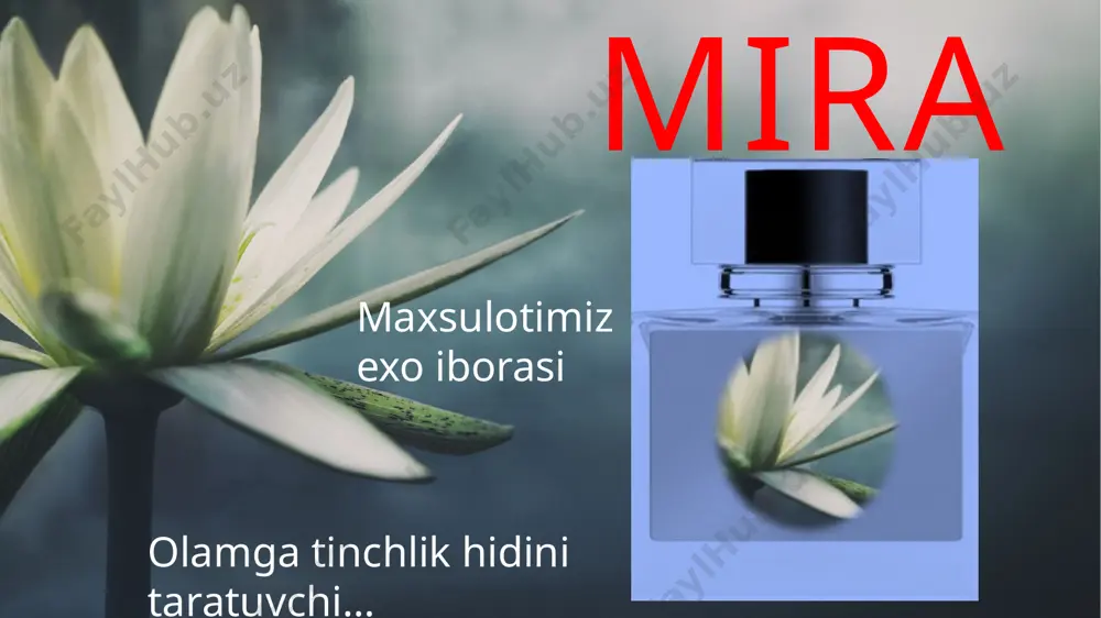 duxi reklamasi: mira - Page 4