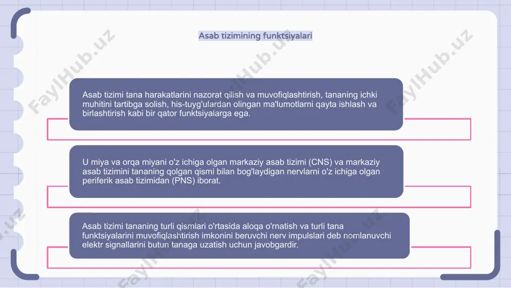olingan ma'lumotlar tushuniladi. dvigatel chiqishi asab tizimi tomonidan hissiy kirishga hosil bo'lgan javobni anglatadi. miya loblari: frontal, parietal, temporal, oksipital frontal lob hissiyotlarni nazorat qilish, qaror qabul qilish va rejalashtirish uchun javobgardir. parietal lob sensorli ma'lumotlarni, masalan, teginish, harorat va og'riqni qayta ishlaydi. temporal lob eshitish, til va xotirada ishtirok etadi. boshsuyagi nervlari va ularning vazifalari asab tizimi - bu tananing turli qismlaridan miyaga signallarni uzatuvchi nervlar va hujayralarning murakkab tarmog'idir. u harakat, nutq va hissiy idrok kabi funktsiyalarni boshqaradi. kranial nervlar - miyadan chiqadigan va turli funktsiyalarni boshqaradigan 12 juft nervlar to'plami. ular ta'm, hid, ko'rish, eshitish va yuz harakatlari kabi funktsiyalar uchun javobgardir. har bir kranial asab o'ziga xos funktsiyaga ega. masalan, hidlash nervi hidni his qilish uchun javobgardir, ko'rish nervi esa ko'rish uchun javobgardir. bu nervlar asab tizimining umumiy faoliyatida hal qiluvchi rol o'ynaydi. neyroplastiklik va neyrogenez asab tizimi neyroplastiklikka qodir, bu miyaning inson hayoti davomida o'zgarishi …