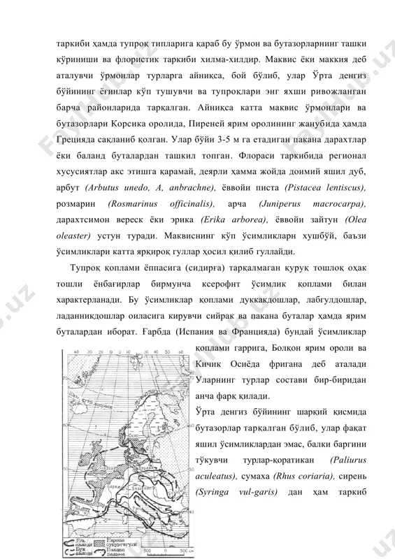 бўй, баъзи ўсимликлари катта ярқироқ гуллар ҳосил қилиб гуллайди. тупроқ қоплами ёппасига (сидирға) тарқалмаган қуруқ тошлоқ оҳак тошли ёнбағирлар бирмунча ксерофнт ўсимлик қоплами билан характерланади. бу ўсимликлар қоплами дуккакдошлар, лабгулдошлар, ладанникдошлар оиласига кирувчи сийрак ва пакана буталар ҳамда ярим буталардан иборат. ғарбда (испания ва францияда) бундай ўсимликлар қоплами гаррига, болқон ярим ороли ва кичик осиёда фригана деб аталади уларнинг турлар состави бир-биридан анча фарқ қилади. ўрта денгиз бўйининг шарқий қисмида бутазорлар тарқалган бўлиб, улар фақат яшил ўсимликлардан эмас, балки баргини тўкувчи турлар-қоратикан (paliurus aculeatus), сумаха (rhus coriaria), сирень (syringa vul-garis) дан ҳам таркиб топган. аъзаи анча баландда учрайдига бундай ўсимлиқ қоплами шибляк дейилади. ўсимлик қопламининг тикланиши учун энг ноқулай бўлган жойларда ўрмонлар тугаши билан тоғ ёнбағирлари тез яланг бўлиб қолади ҳамда ювилиб кетади, жар ва сурилмалар ривожланади. оҳактошларда карст процесслари интенсив ривожланади.