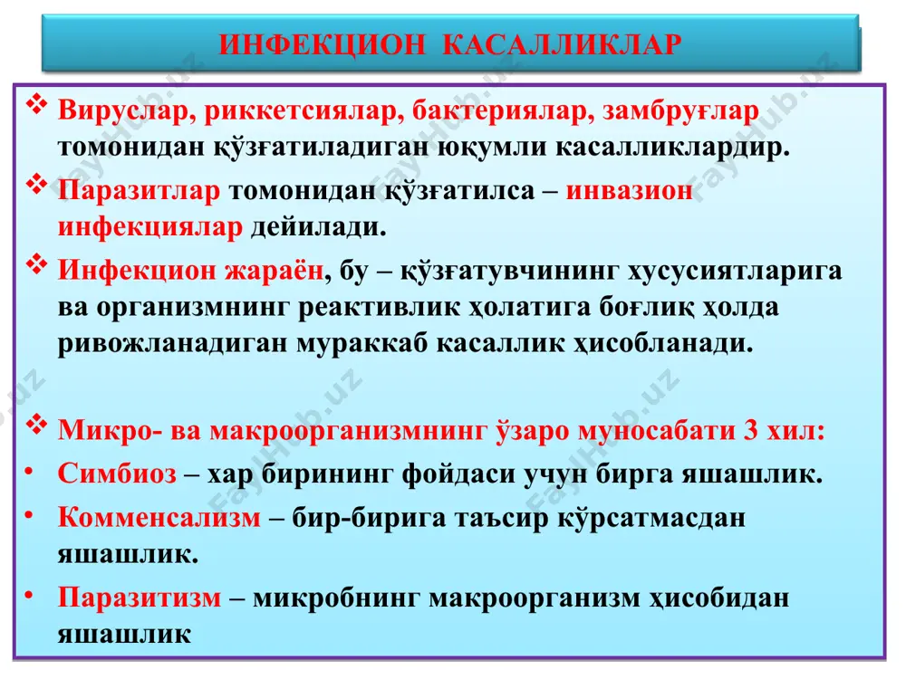 лар бор. рнк вирус ҳужайра цитоплазмасига кириб рнк-азани ишга солиб рибосома рнксини вирус рнкга айлантиради рнк рнк рнк рнк вирус рецептор цитоплазма ядро эпителий ҳужайраси * грипп – рнк-вирус:а,в,с; 80-100 нм, липогликопро-теидли капсид пардали. енгил, ўрта ва оғир форма-ларида юқори нафас йўллари ва ўпка касалланади, яллиғ-ланиши серозли-геморрагик, гигантҳужайрали метаплазия пайдо бўлади. парагрипп – рнк-вирус, 150-300 нм, ноаниқ шаклли, капсидда кўп ядроли ҳужайра пайдо қиладиган омил бор. юқори нафас йўллари касалланади, яллиғланиши серозли-десквоматив, кўп ядроли ястиқча пайдо бўлади рс – инфекция. рнк-вирус, 90-120 нм, кўп ядроли синцитий пайдо қилади. юқори нафас йўллари касалланади, яллиғланиши серозли-десквоматив ва симпластли. кўпинча ёш болалар касалланади. аденовирусли инфекция. днк-вирус, 70-90 нм, ядрогача кириб боради ва критмалар пайдо қилади. юқори нафас йўллари, лимфа тугунлар ва конънктива касалланади. ядросида “аденовирусли ҳужайра” пайдо бўлади. вирусли инфекциялар ўрви турлари, хос морфологик ўзгаришлари болалар инфекциялари – дифтерия (бўғма) бўғма – катталарга нисбатан болаларда кўпроқ учрайди. қўзғатувчиси леффлер таёқчаси, экзотоксини маҳаллий ва …