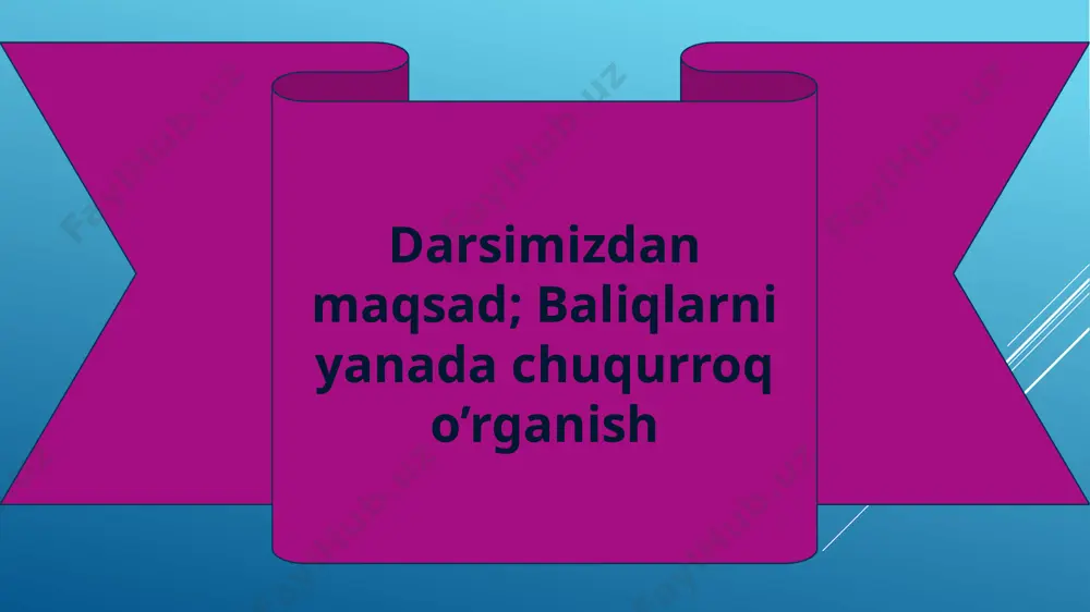 unki tuxumlari va lichinkalarining juda ko‘p qismi boshqa hayvonlarga yem bo‘ladi. ayrim baliqlarning nasli to‘g‘risida g‘amxo‘rlik qilish instinkti kuchli rivojlangan. chuchuk suv tikanbalig‘ining erkagi urchish davrida suv o‘tlarini so‘lak bezlari ishlab chiqaradigan suyuqlik bilan yopishtirib, urg‘ochilari uchun qulay uya yasaydi. bu uyaga bir necha urg‘ochi baliq tuxum qo‘yadi. erkak baliqlar uyaga qo‘yilgan tuxumlarni urug‘lantiradi va tuxumdan chiqqan ba liqchalarni mustaqil oziqlana oladigan bo‘lguncha himoya qilishadi (65-rasm). dengiz otchasi erkaklari tuxumlarini qornidagi maxsus xaltachasida olib yuradi afrika tilyapiya balig‘ining erkaklari urg‘ochilari tashlagan tuxumlarni og‘iz bo‘shlig‘ida olib yuradi. biror xavf tug‘ilgudek bo‘lsa, hatto yosh baliqchalari ham erkak baliqning og‘ziga kirib yashirinib oladi. 1. nasliga ko‘p g‘amxo‘rlik qiladigan baliqlar: ko‘p tuxum qo‘yadi; kam tuxum qo‘yadi, uvildirig‘ini olib yuradi; d) ko‘p tuxum qo‘yadi, dengizdan daryoga o‘tadi. 2. baliqlar «suti»: tuxum hujayralar bilan to‘lgan suyuqlik; urug‘ hujayralari bilan to‘lgan oqish suyuqlik; d) urug‘langan tuxum hujayralar. uyga vazifa ; mavzuni o’qib ,rasmini chizib kelish image1.jpg image2.jpg …