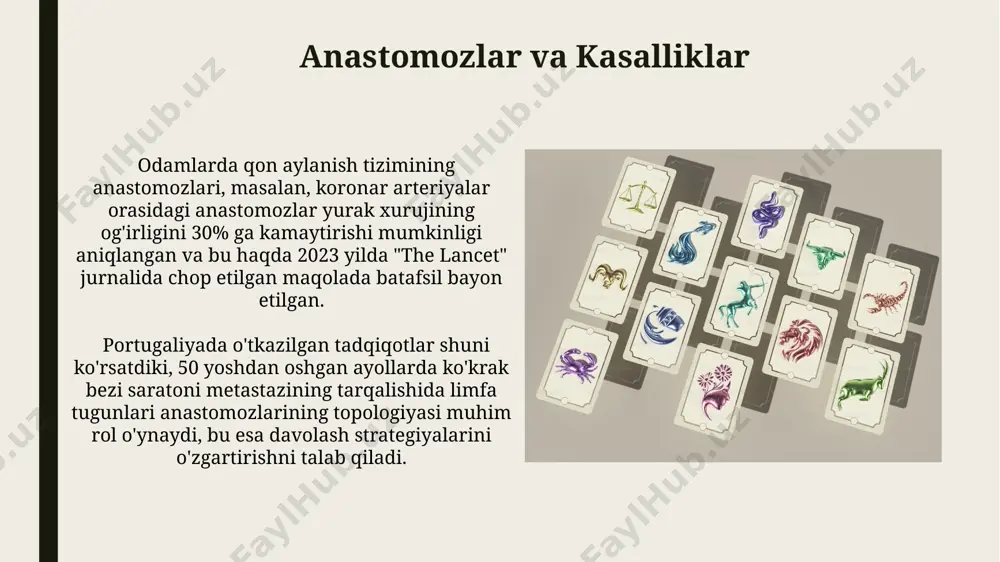 anastomozlarning topografiyasi (turli hayvonlar misolida) - Page 5