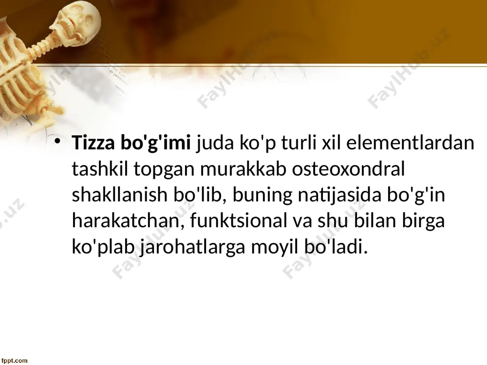 klini ham o'zgartiradi. ikkala menisk ham old tomondan tizzaning ko'ndalang ligamenti bilan bog'langan va ularning uchlari tibia interkondilyar ustuniga biriktirilgan. tibianing yuqoridan ko'rinishi tizza bo'g'imining artikulyar kapsulasi tizza qo'shilishida artikulyar kapsul katta ahamiyatga ega, bu ko'pincha tizzada og'riqning sababi hisoblanadi. qo'shma kapsula femurning chetiga epikondillar ostida, tibia va patellaning chetiga biriktirilgan. tiz bo'g'imining artikulyar kapsulasi muskullar va tendonlar bo'ylab yotadigan bir qator sinovial bursalarni hosil qiladi, lekin ular bo'g'im bo'shlig'ining o'zi bilan aloqa qilmaydi. eng katta bursa suprapatellar bursa bo'lib, u to'rt boshli bosh suyagi va son suyagi o'rtasida joylashgan. tizza bo'g'imining sinovial bursalari oldinda suprapatellar bursa, bursa suprapatellaris . teri ostida - bursa subcutanea prepatellaris; fastsiya ostida chuqurroq - bursa prepatellaris subfascialis aponevrotik streç ostida; quadriseps - bursa subtendinea prepatellaris. ligning pastki biriktirilishi joyida. patellae, bu ligament va tibia o'rtasida bursa infrapatellaris profunda. tashqi tomondan orqada popliteal chuqurchaga, recessus subpopliteus, - tizza bo'g'imining sinovial bursasi mavjud . orqa va …